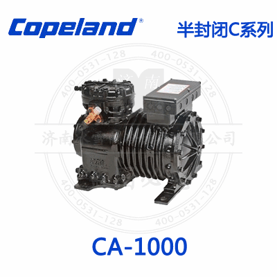 CA-1000
